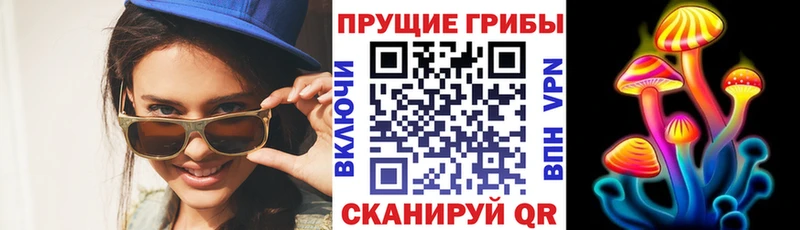 как найти наркотики Южно-Сухокумск hydra зеркало Галлюциногенные грибы ЛСД